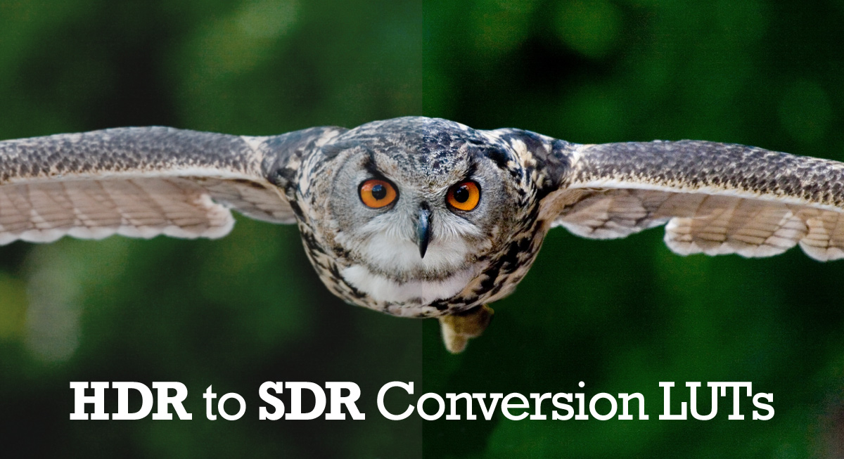 HDR to SDR conversion